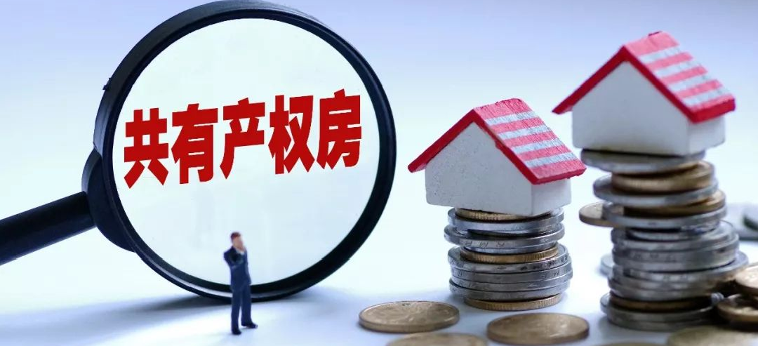 重磅！北京共有產(chǎn)權房將制定細則！搭建保證性住房體系！(圖4)